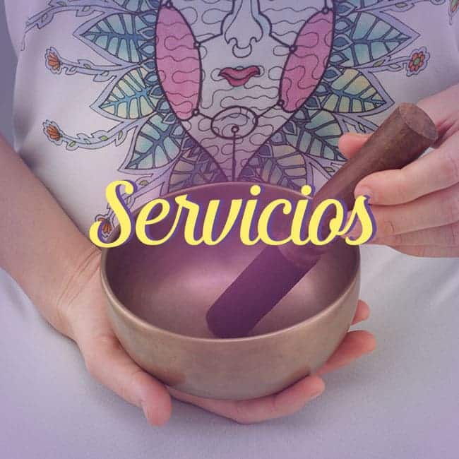 Boton-Servicios